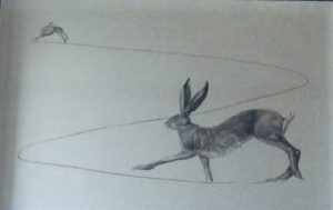 Original Pencil Drawing  ‘Hares: Two’