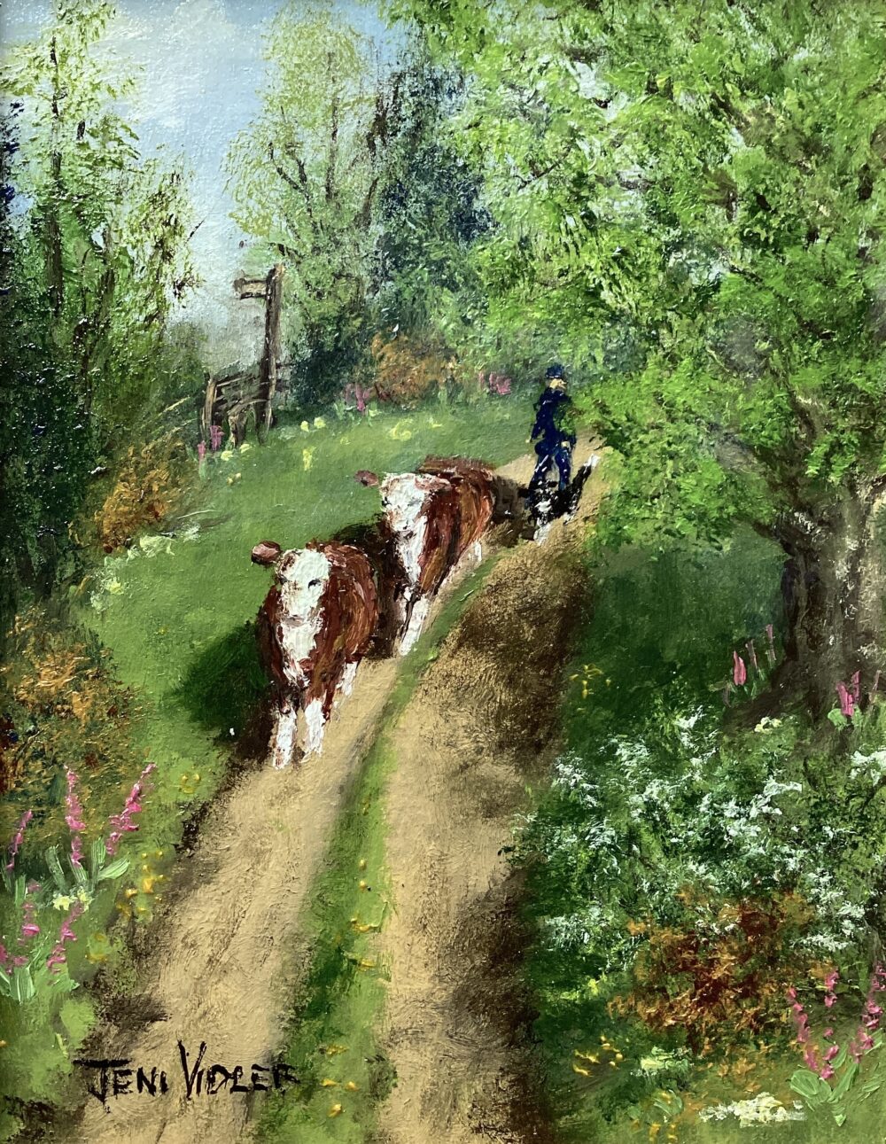 ‘Herefordshire Lanes and Cows’