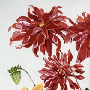 Detail of ‘Dahlia Dance’