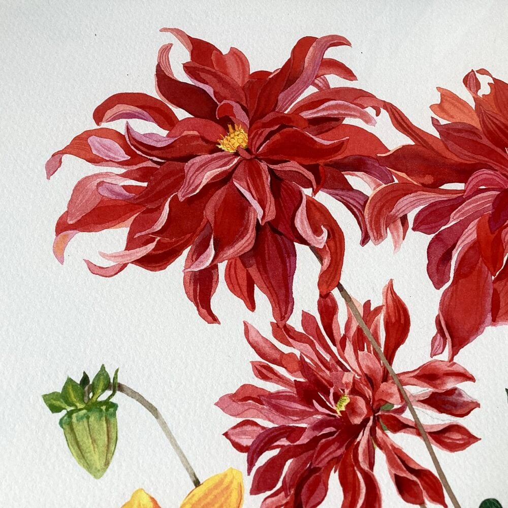 Detail of ‘Dahlia Dance’