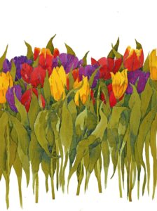 Original watercolour  Mixed Tulips