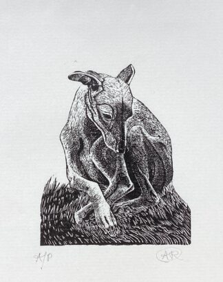 ‘Jasper Seated I’ Wood Engraving