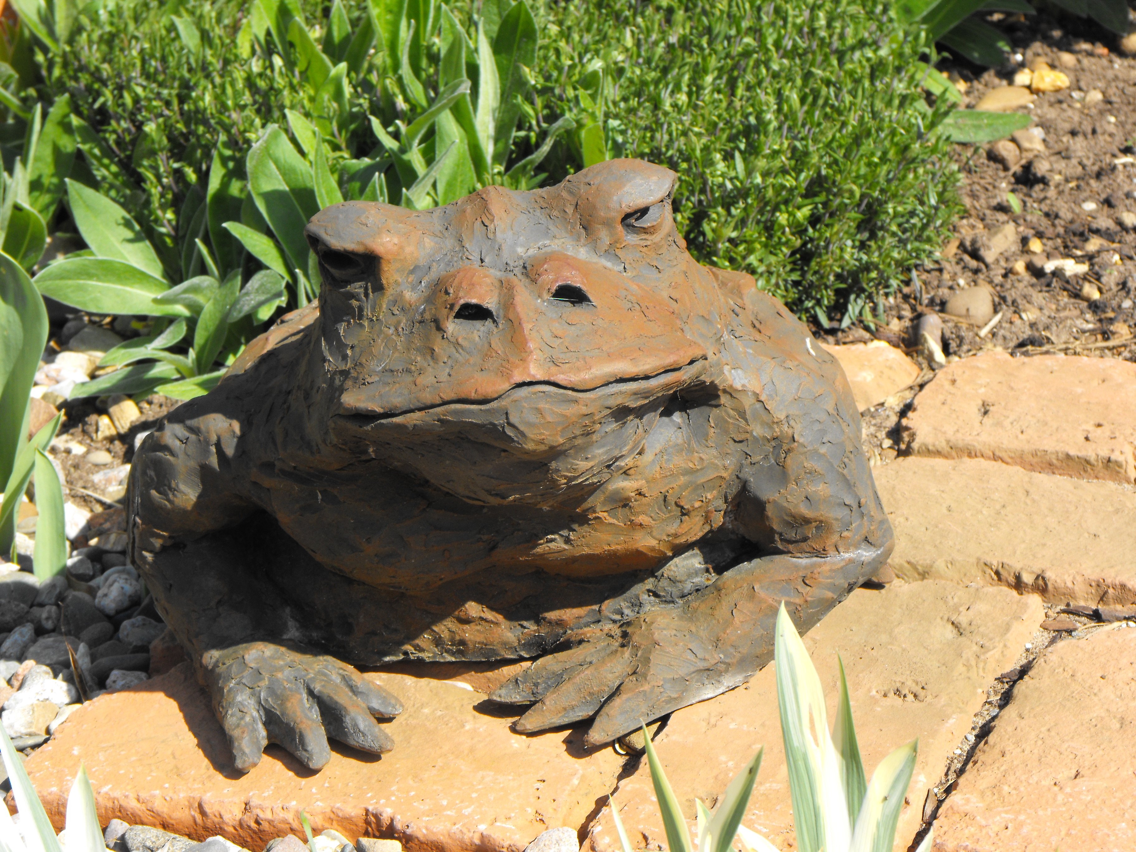 Iron Resin Garden Sculpture Toad Old Chapel Gallery