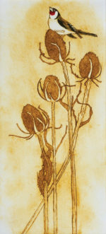 Limited Edition Collagraph  Goldfinch