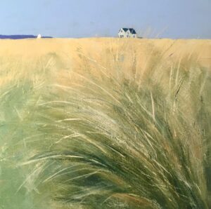 'Ynyslas' Borth Beach