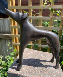 Greyhound Looking Up