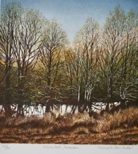 Moccas Park Herefordshire - November