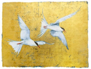 ‘Book of Birds – Tern’