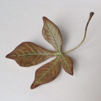 Tiny Horse Chestnut Leaf