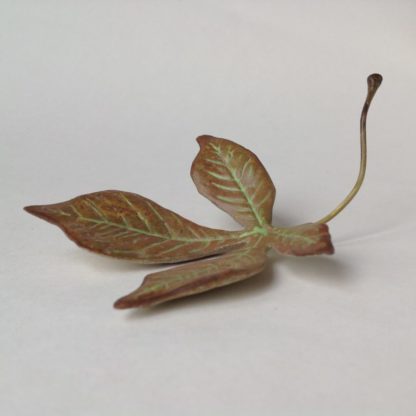 Tiny Horse Chestnut Leaf