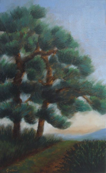 ‘Pines on the Ridge’