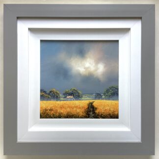 'Summer Storm ll'