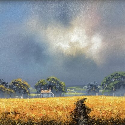 'Summer Storm ll'