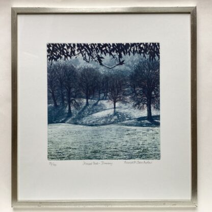 ‘Moccas Park Herefordshire – January’