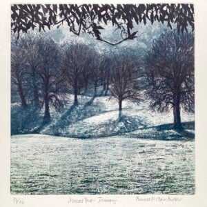 ‘Moccas Park Herefordshire – January’