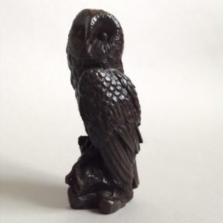 Bronze Perching Owl