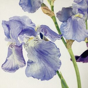 Detail of 'Iris Blue Rhythm'