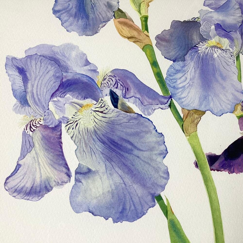 Detail of 'Iris Blue Rhythm'