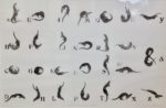 The Twenty Six Otters of the Alphabet