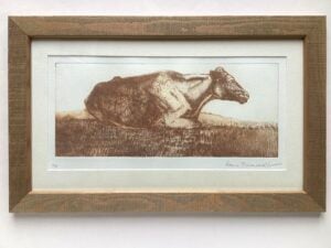 ‘Early Morning Cow’