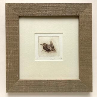 'Singing Wren'