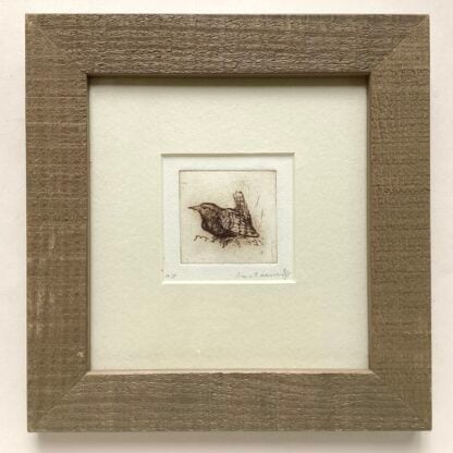 'Singing Wren'