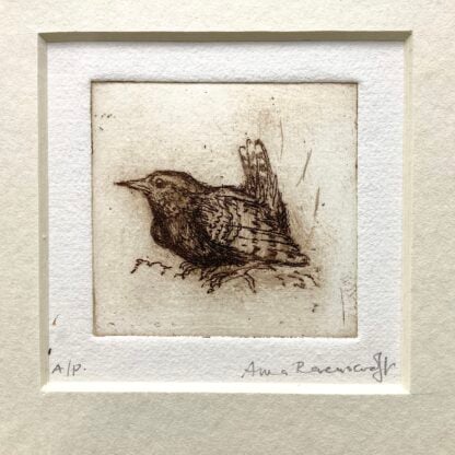 'Singing Wren'