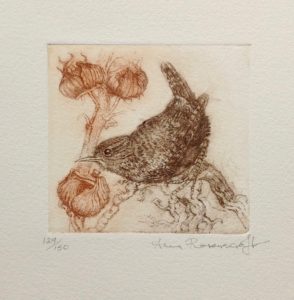 Wren and Seed Heads 