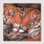 Jackie Morris Tiger Cards