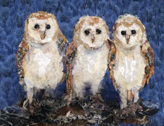 ‘Trio of Owlets’