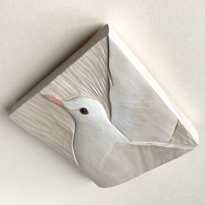‘White Dove’
