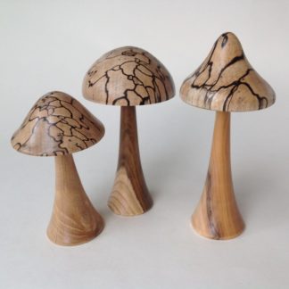 Three Mushrooms in Spalted Beech