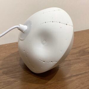 'Lesser Spotted Naked Urchin'