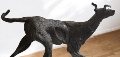 ‘Fly’ The Walking Dog of Kington