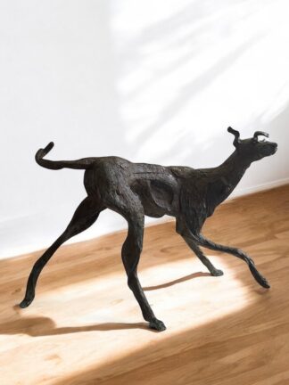 ‘Fly’ The Walking Dog of Kington