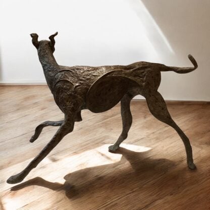 ‘Fly’ The Walking Dog of Kington