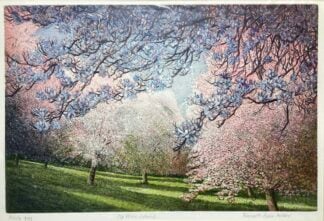 'Old House Orchard' 