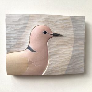 ‘Collared Dove’