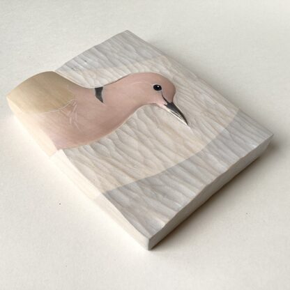 ‘Collared Dove’