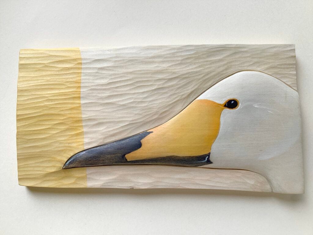 Whooper Swan’