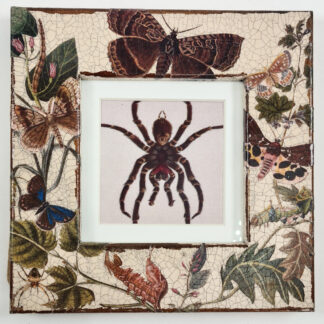 ‘Moths and Leaves’ Decoupage Frame