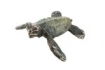 Bronze Small Turtle