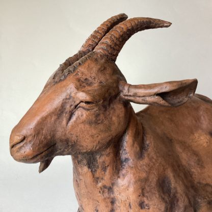 ‘Terracotta Goat’
