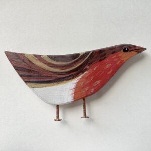 ‘Youngster Robin’
