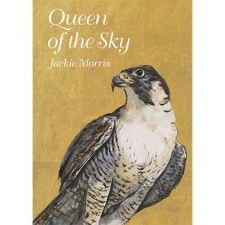 Queen of the Sky by Jackie Morris.