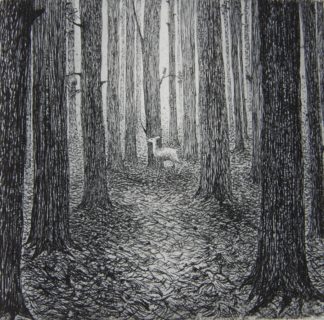 ‘A Forest’