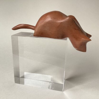 'Pouncer Cat'