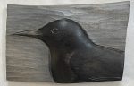 'Carrion Crow' Relief Wood Carving