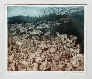 ‘Mountain Freedom’