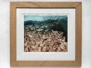 ‘Mountain Freedom’